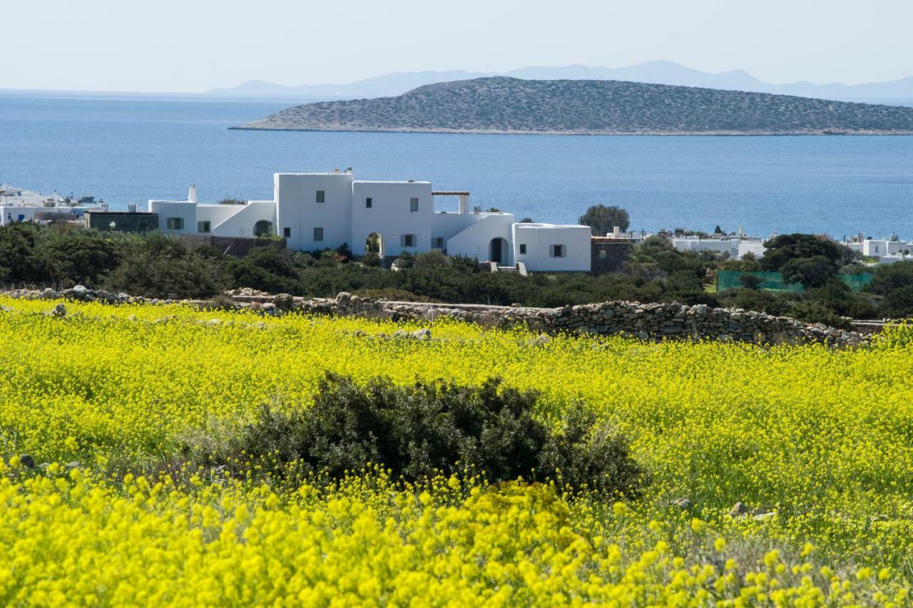Villa Theros Alikí Екстериор снимка